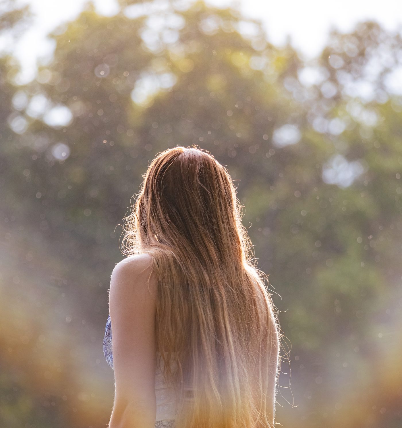 Back of head portrait, long hair lit by golden hour sun with soft bokeh